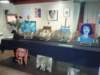 expositie17apr2013_small.jpg